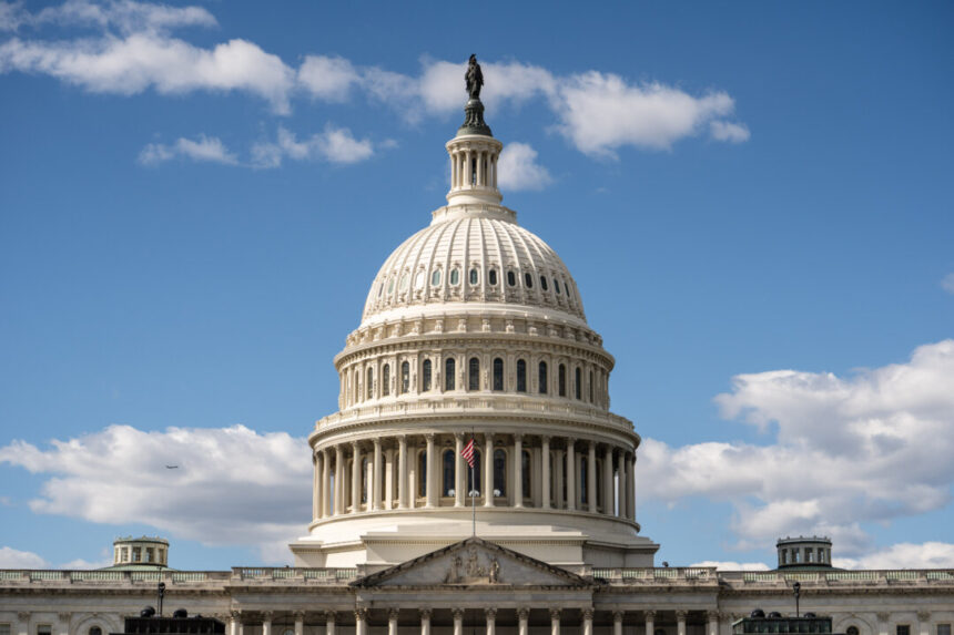 america-in-brief