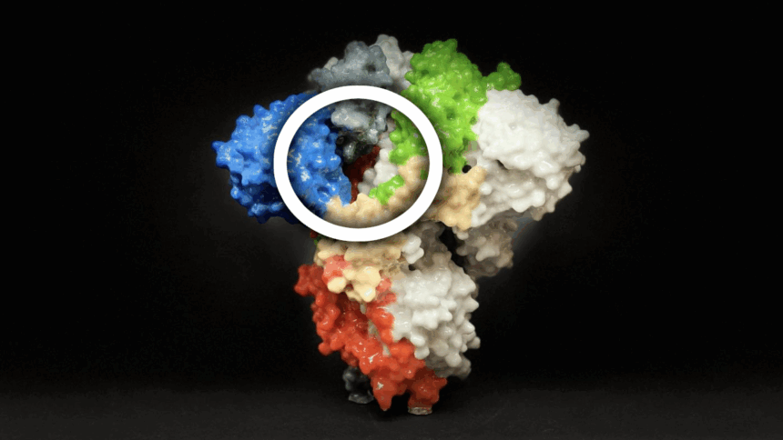 how-to-block-spike-proteins