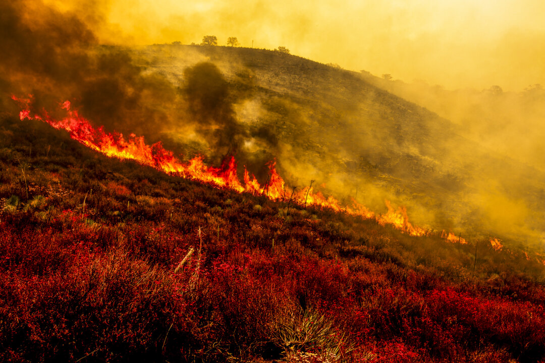 prediction-of-climate-catastrophe-loses-some-of-its-strongest-advocates