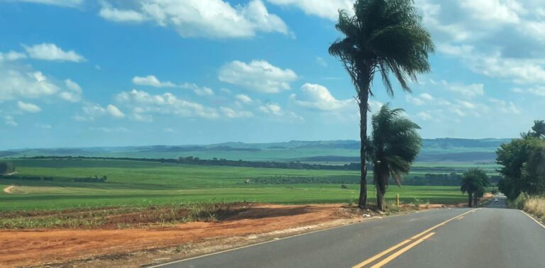 agriculture-in-brazil:-how-land-use-choices-affect-biodiversity-and-the-global-climate