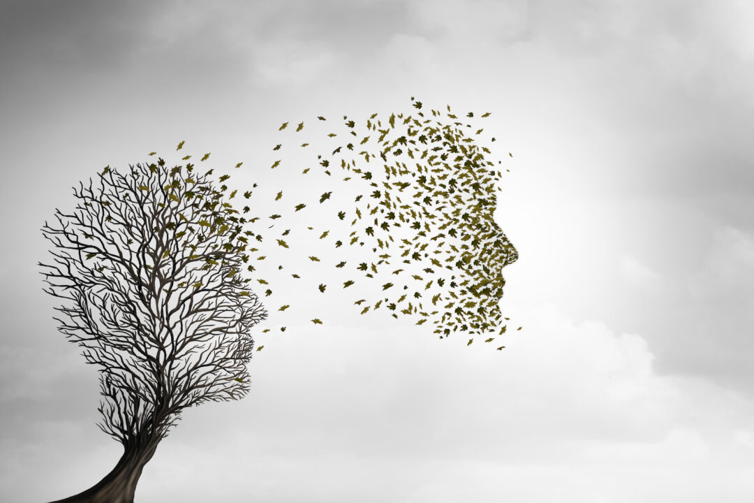 from-sacred-to-sustainable:-funeral-services-going-green