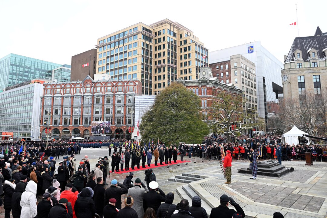 the-missing-link-to-democracy-in-canadas-national-remembrance-day-ceremony