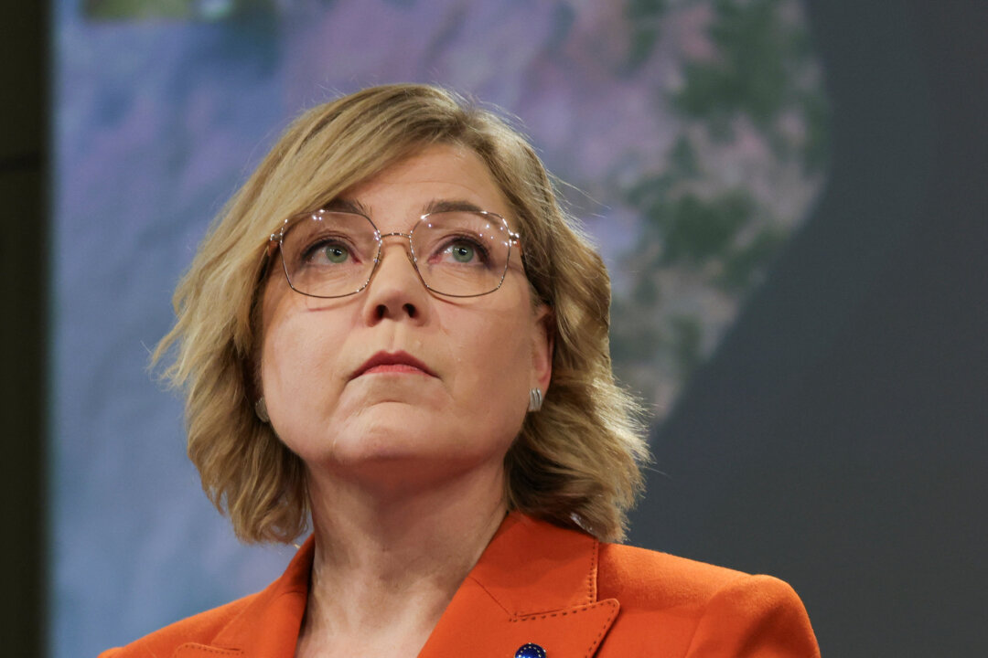 eus-new-democracy-shield-prompts-free-speech-concerns