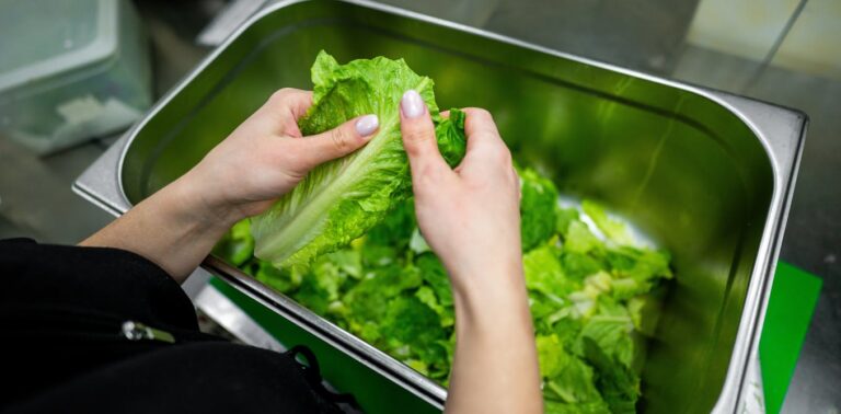 why-does-lettuce-go-bad-so-quickly?-our-new-study-has-the-answer