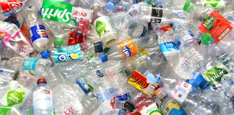 questions-are-being-raised-about-microplastics-studies-heres-whats-solid-science-and-what-isnt