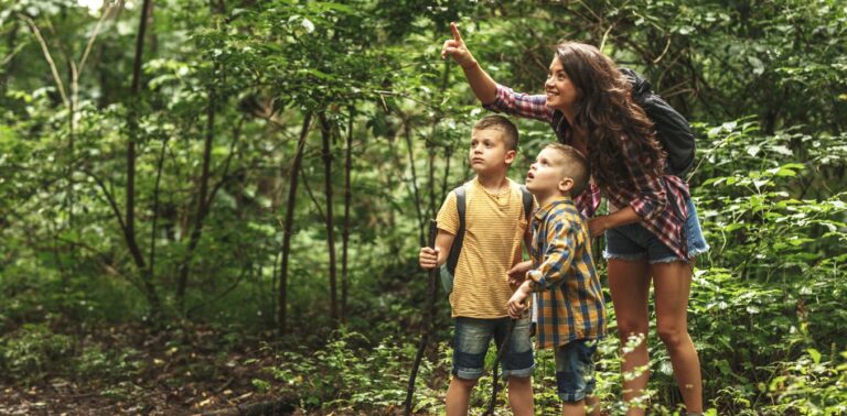 paying-attention-to-birdsong-while-walking-in-nature-can-boost-wellbeing,-my-research-shows