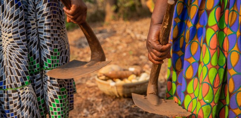 small-scale-farmers-produce-more-of-the-rich-worlds-food-than-previously-thought-new-study