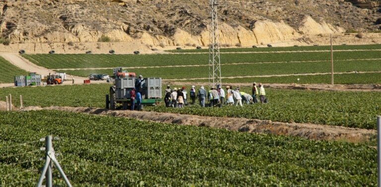 spains-mass-regularisation-for-500,000-undocumented-migrants-is-not-extreme,-unprecedented-or-opportunistic