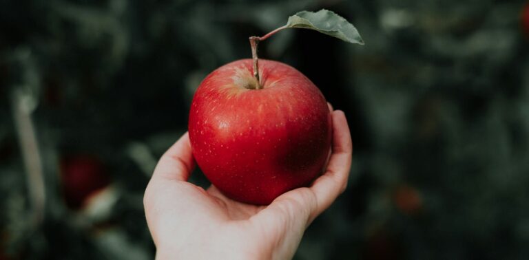 developing-lab-grown-human-cartilage-using-apples!