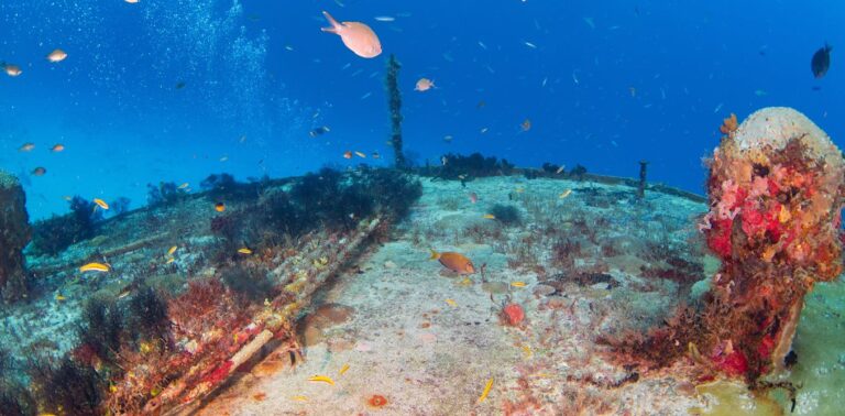 how-1.5-million-km-of-undersea-internet-cables-can-double-up-as-an-earthquake-and-tsunami-warning-system