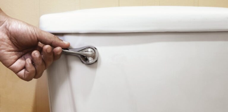 we-are-flushing-paracetamol-down-the-toilet-and-into-our-water-supply-heres-how-it-could-be-removed