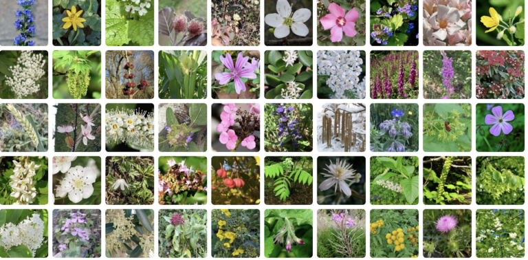introducing-a-new-citizen-science-nature-app-thats-geared-towards-the-scientific-community