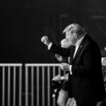 calm-down-this-is-what-trump-is-really-doing.