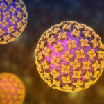 10-canadians-connected-to-hantavirus-outbreak,-chief-public-health-officer-says