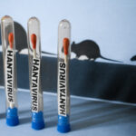 5-australians-to-face-quarantine-on-return-from-hantavirus-hit-cruise-ship