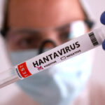 hantavirus-cases-rise-among-cruise-ship-passengers-as-countries-expand-quarantine-measures
