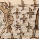 why-early-medieval-ireland-had-laws-for-bees