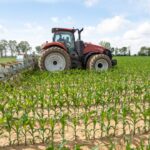 un-warns-strait-of-hormuz-disruption-could-lead-to-global-food-price-crisis