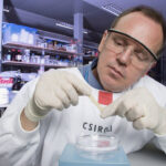 csiro-cuts-92-climate-and-environment-jobs-despite-multi-million-dollar-budget-boost