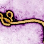 ontario-resident-who-returned-from-east-africa-tests-negative-for-ebola-amid-new-border-measures
