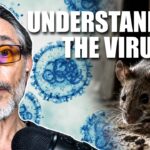 hantavirus-fear-campaigns-versus-the-scientific-reality