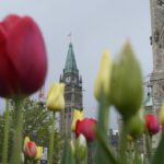 inclusion-groups-sign-open-letter-calling-on-ottawa-to-halt-maid-for-mental-illness