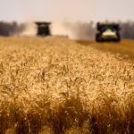 australias-winter-crop-output-forecast-to-fall-21-percent-amid-middle-east-conflict