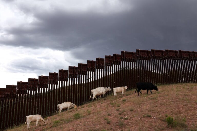flesh-eating-screwworm-reappears-in-us:-5-things-to-know
