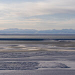 us-sells-5-oil-and-gas-leases-in-alaskas-arctic-refuge-for-$3.7-million