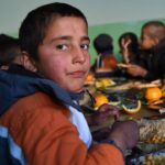 about-866-million-illnesses-linked-to-contaminated-food-annually:-who