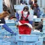 japans-wholesale-inflation-accelerates-to-3-year-peak-as-energy-costs-rise