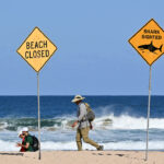 nothing-off-table:-shark-culls-on-cards-after-attack