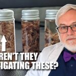 dr.-bruce-rapley:-the-anomalous-“calamari”-clots