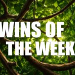 wins-of-the-week-129-with-ted-kuntz