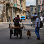online-portal-for-delivering-goods-to-cubans-ceases-operations