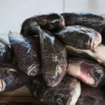 what-kenyas-fish-markets-tell-us-about-choosing-between-nutrients-and-contaminants