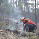 wildfire-prompts-hurried-evacuations-in-west-kelowna,-bc