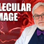 dr.-bruce-rapley:-concerning-proteomics-of-the-calamari-clots