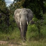 grieving-friend-says-canadian-shot-dead-in-south-africa-wasnt-asking-guide-about-gun
