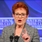 one-nation-stands-by-paid-parental-leave,-argues-small-business-should-not-bear-cost