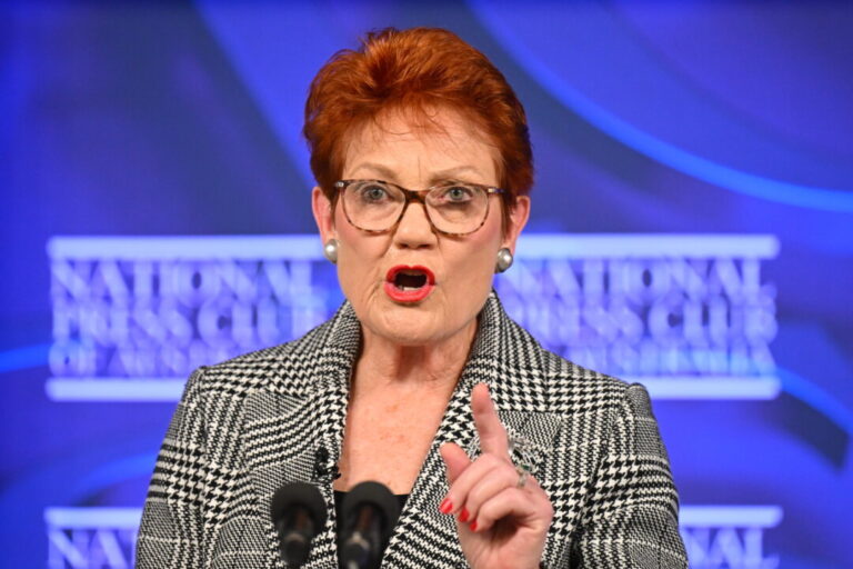 one-nation-stands-by-paid-parental-leave,-argues-small-business-should-not-bear-cost