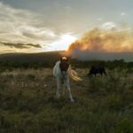 day-in-photos:-wildfire-in-france,-collapsed-roof-in-pakistan,-and-independence-day-drummers