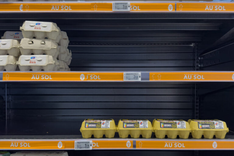 nsw-authorities-warn-against-egg-panic-buying-as-bird-flu-spreads-to-the-state