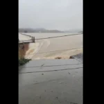 how-could-we-not-be-flooded?:-chinese-port-city-submerged-as-guangxi-floods-bring-dam-breach-and-escaped-cobras