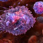 sting-protein:-our-study-found-new-ways-for-the-body-to-activate-and-possibly-control-inflammation
