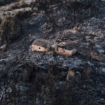 hundreds-of-firefighters-battle-wildfire-in-southern-spain-that-killed-at-least-12