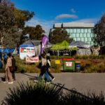 anu-concedes-response-to-pro-palestinian-encampment-may-have-been-naive-or-inadequate
