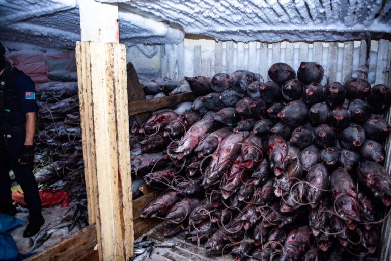 going-dark:-the-high-tech-tricks-behind-illegal-chinese-fishing-in-the-pacific