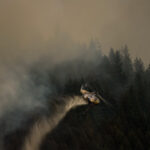 boston-bar-blaze-destroys-more-homes-as-bc-wildfire-numbers-spike