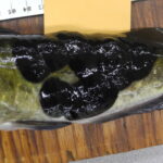 canadian-and-us-fish-found-with-rare-contagious-skin-cancer